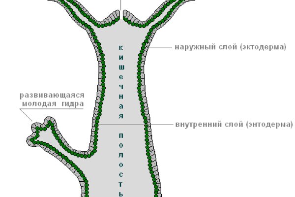 Кракен москва наркота