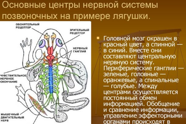 Кракен даркнет официальный сайт